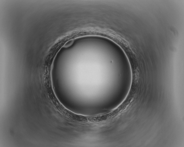 X0000113621494200909181428