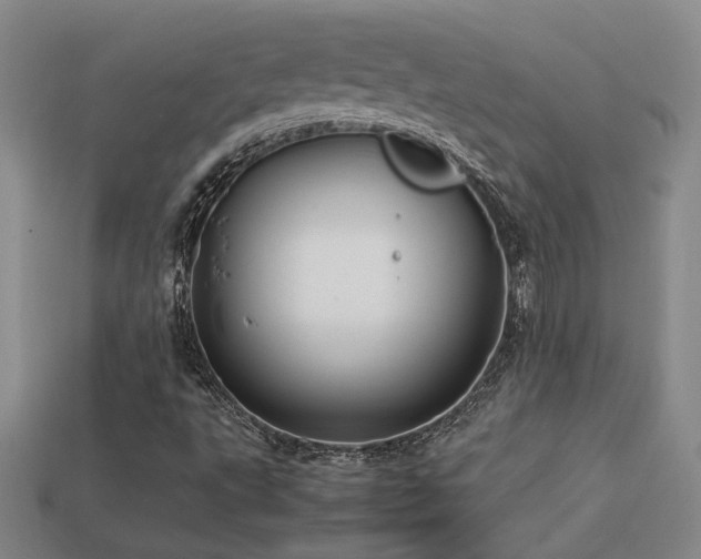 X0000113621495200909181428