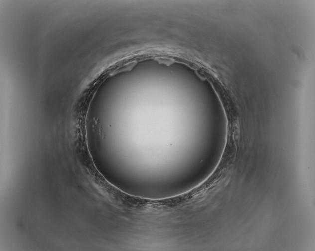 X0000113621496200909181428