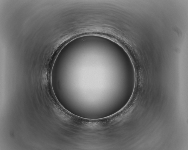 X0000113621497200909181429