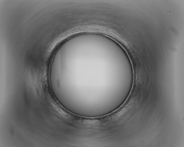 X0000113621498200909181429