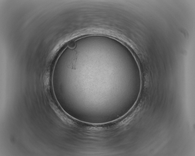 X0000113621499200909181429