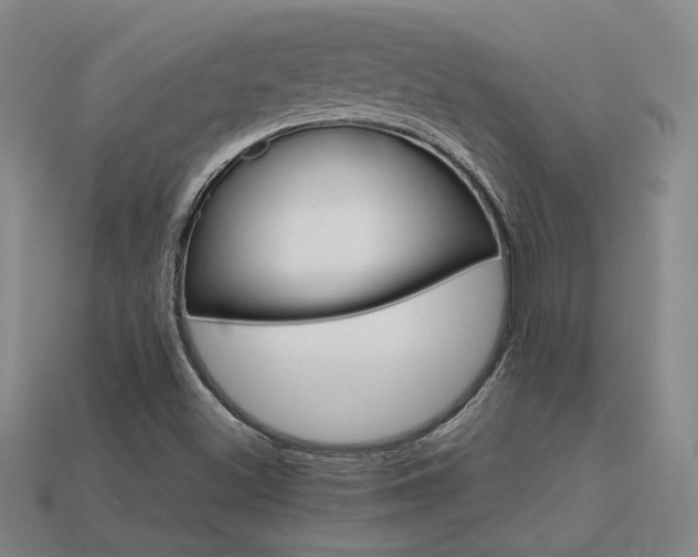 X0000113621500200909181429