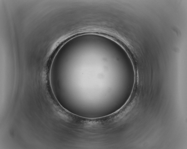 X0000113621501200909181429