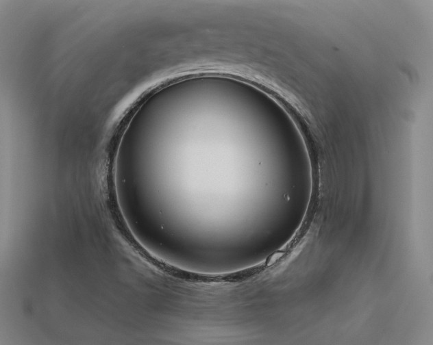 X0000113621502200909181429