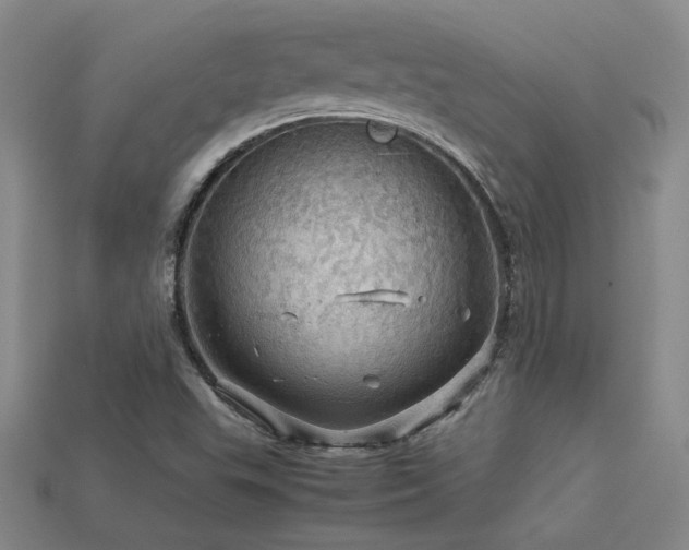 X0000113621503200909181429