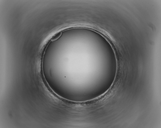 X0000113621504200909181429