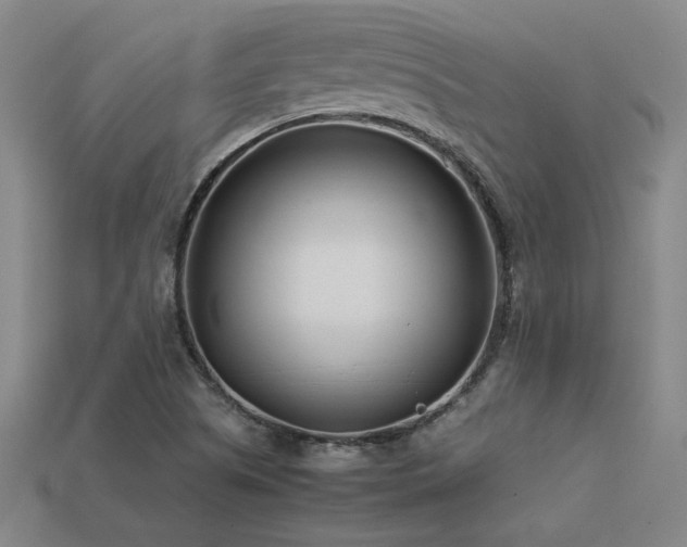 X0000113621505200909181429