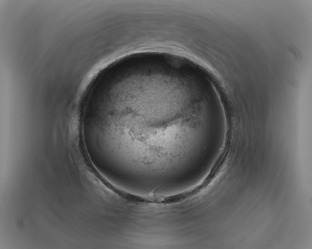 X0000113621506200909181429