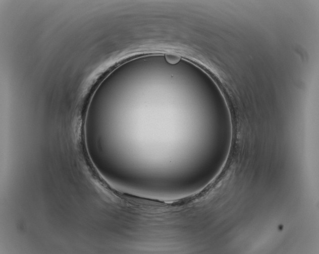 X0000113621507200909181429