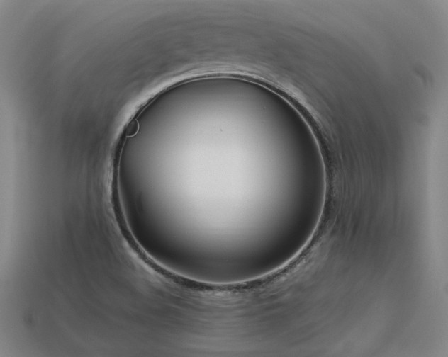 X0000113621508200909181429