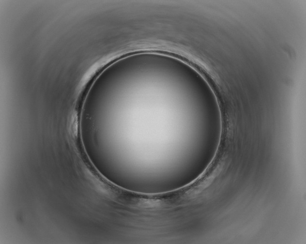 X0000113621509200909181429