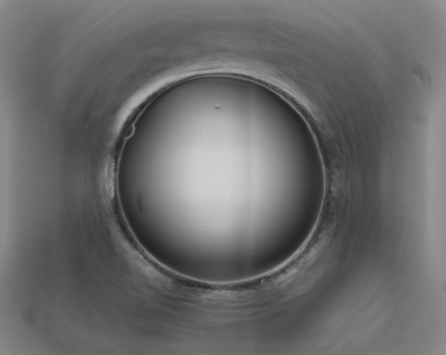 X0000113621510200909181429