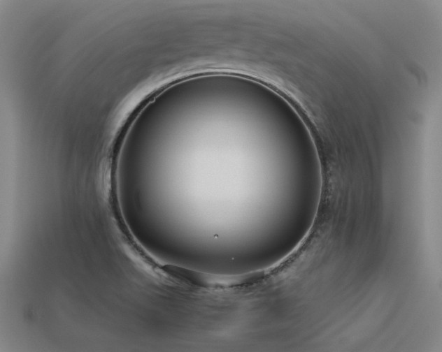 X0000113621511200909181429