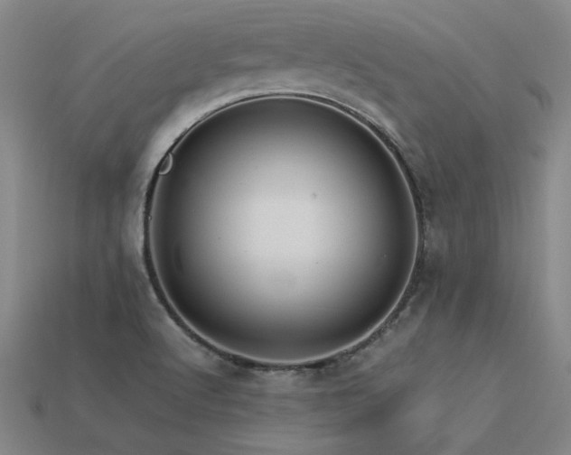 X0000113621512200909181429