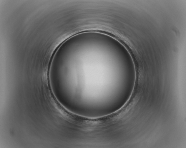 X0000113621513200909181429