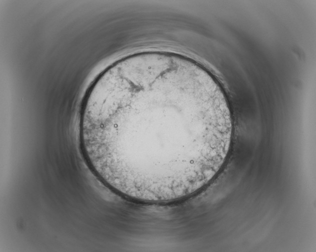 X0000113621514200909181429