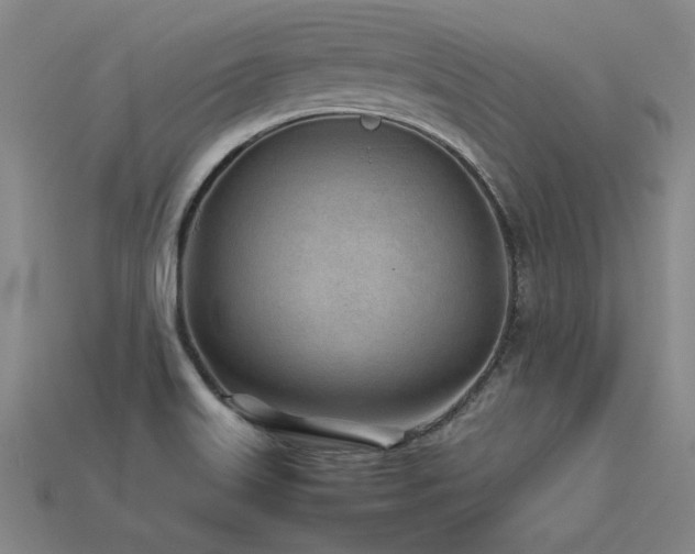 X0000113621515200909181429