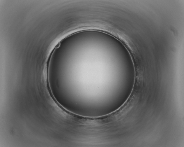 X0000113621516200909181429