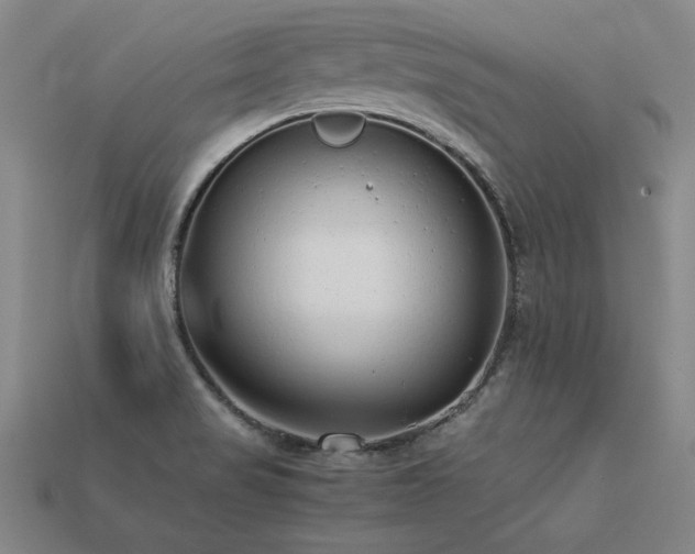 X0000113621517200909181429