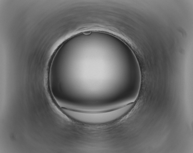 X0000113621518200909181429