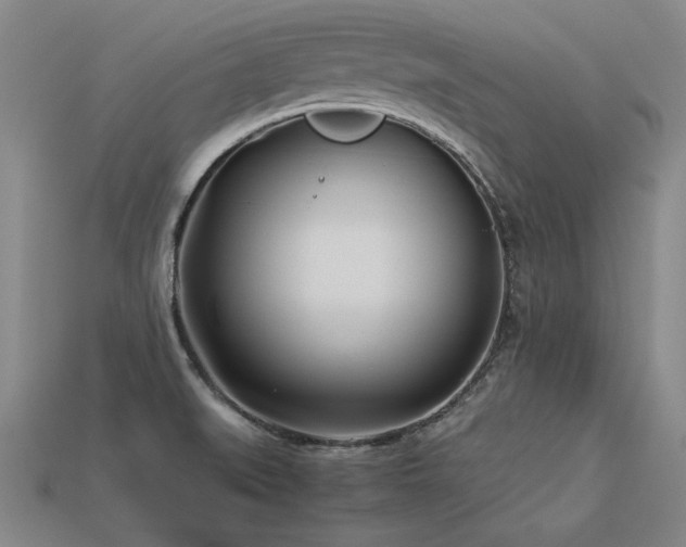 X0000113621519200909181429