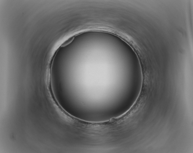 X0000113621520200909181429