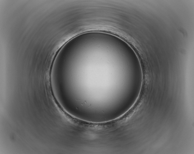 X0000113621521200909181429