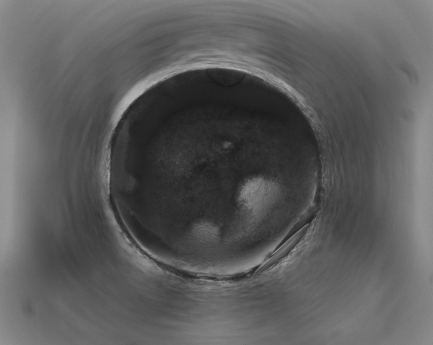 X0000113621522200909181429