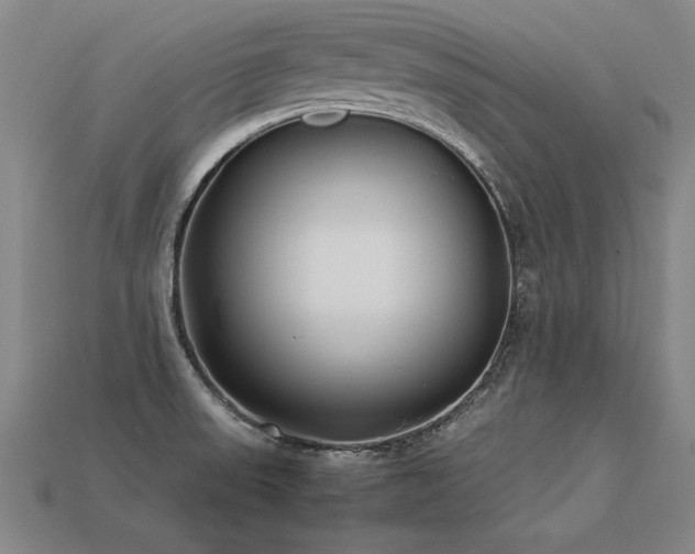 X0000113621523200909181429