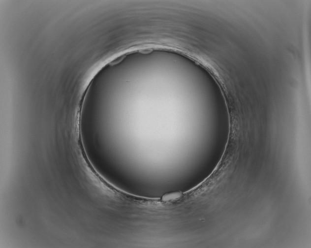 X0000113621524200909181429