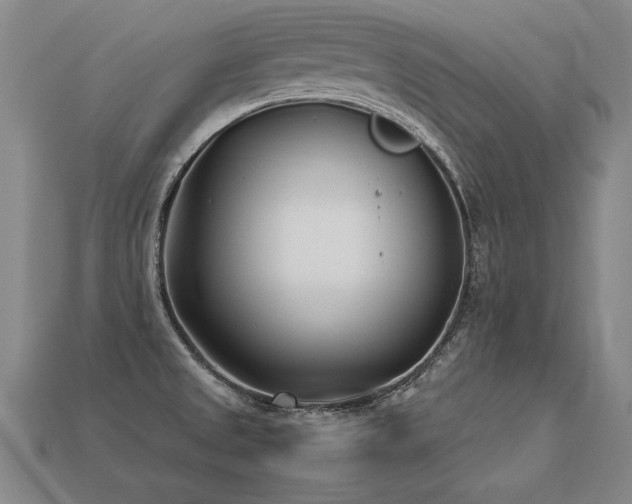 X0000113621525200909181429