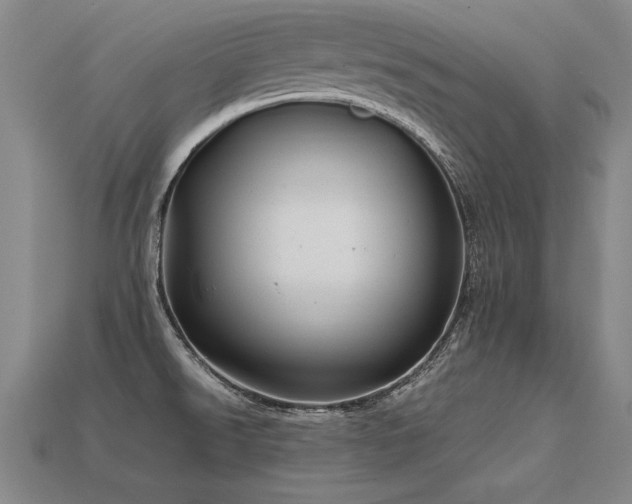 X0000113621526200909181429