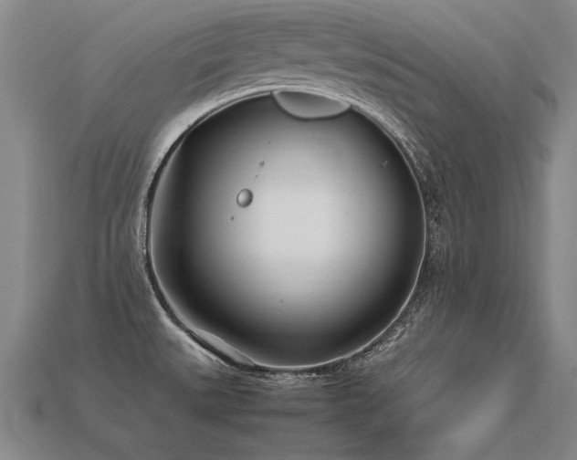 X0000113621527200909181429