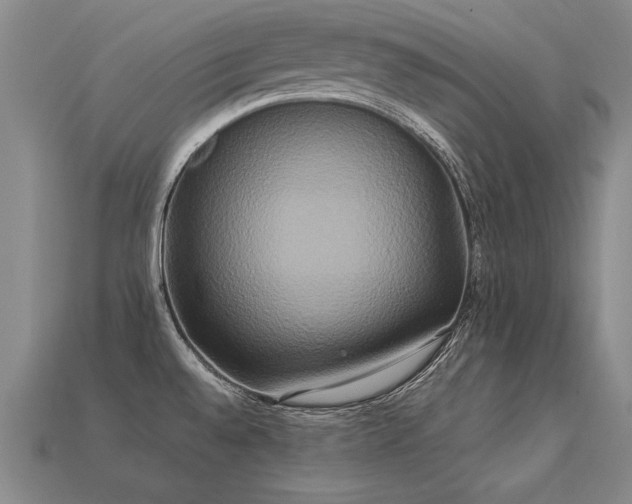 X0000113621528200909181429