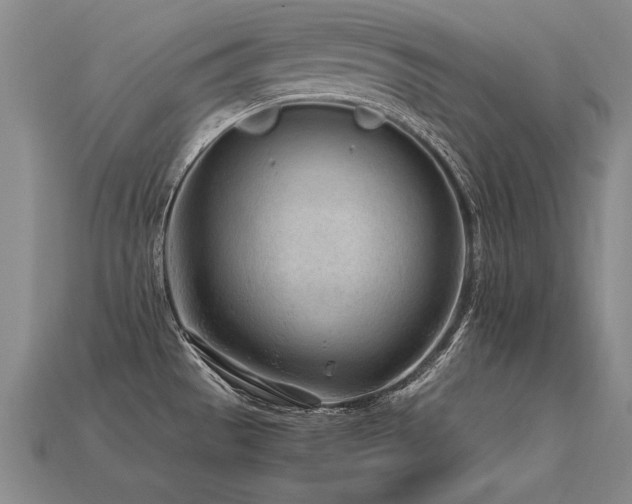 X0000113621529200909181429