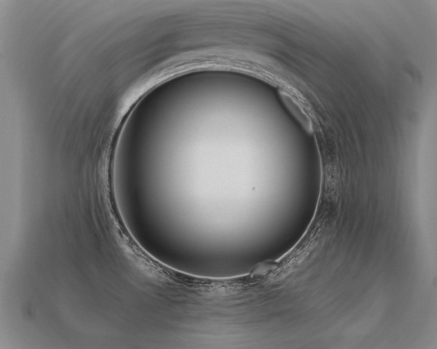 X0000113621530200909181429