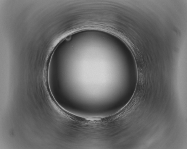 X0000113621531200909181429