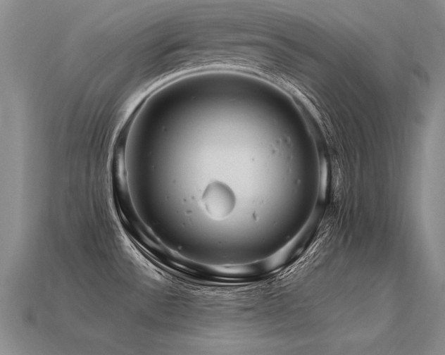 X0000113621532200909181429