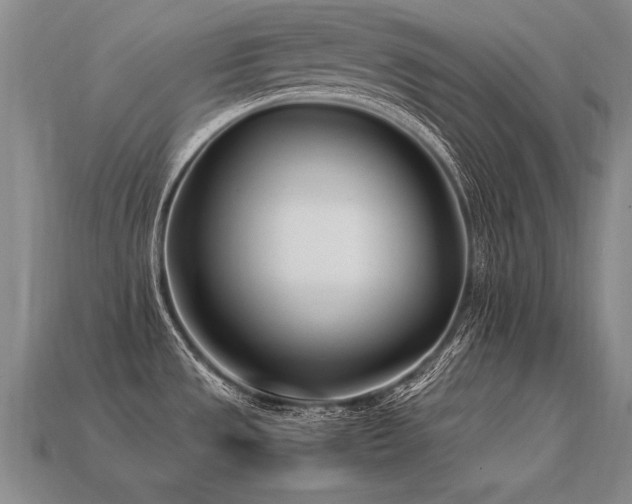 X0000113621533200909181429