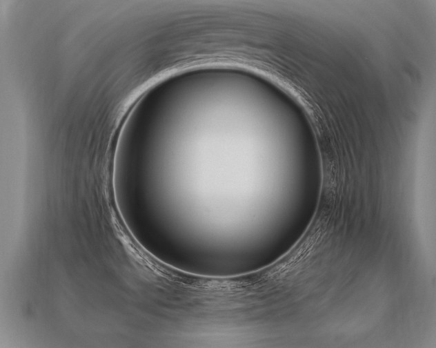 X0000113621534200909181429