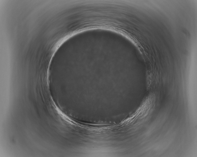 X0000113621535200909181429