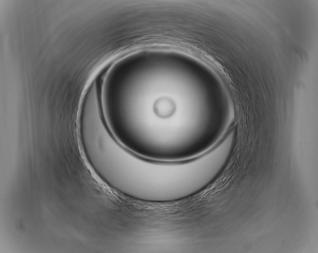 X0000113621536200909181429