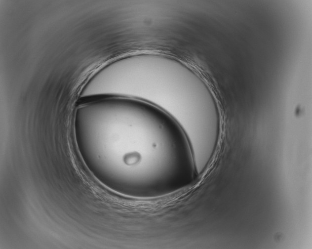 X0000113620001200909251217