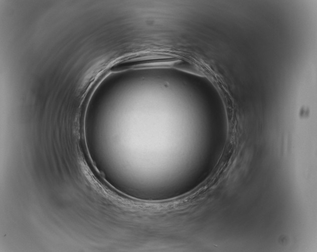 X0000113620002200909251217