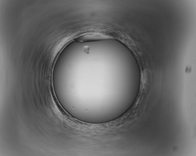 X0000113620003200909251217