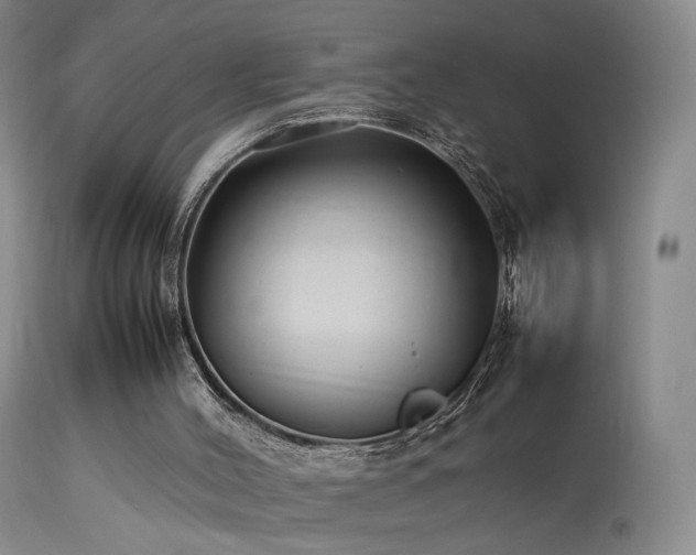 X0000113620004200909251217