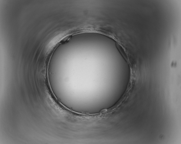 X0000113620005200909251217