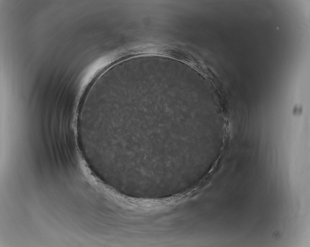 X0000113620006200909251217