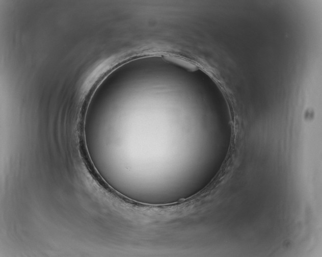 X0000113620007200909251217